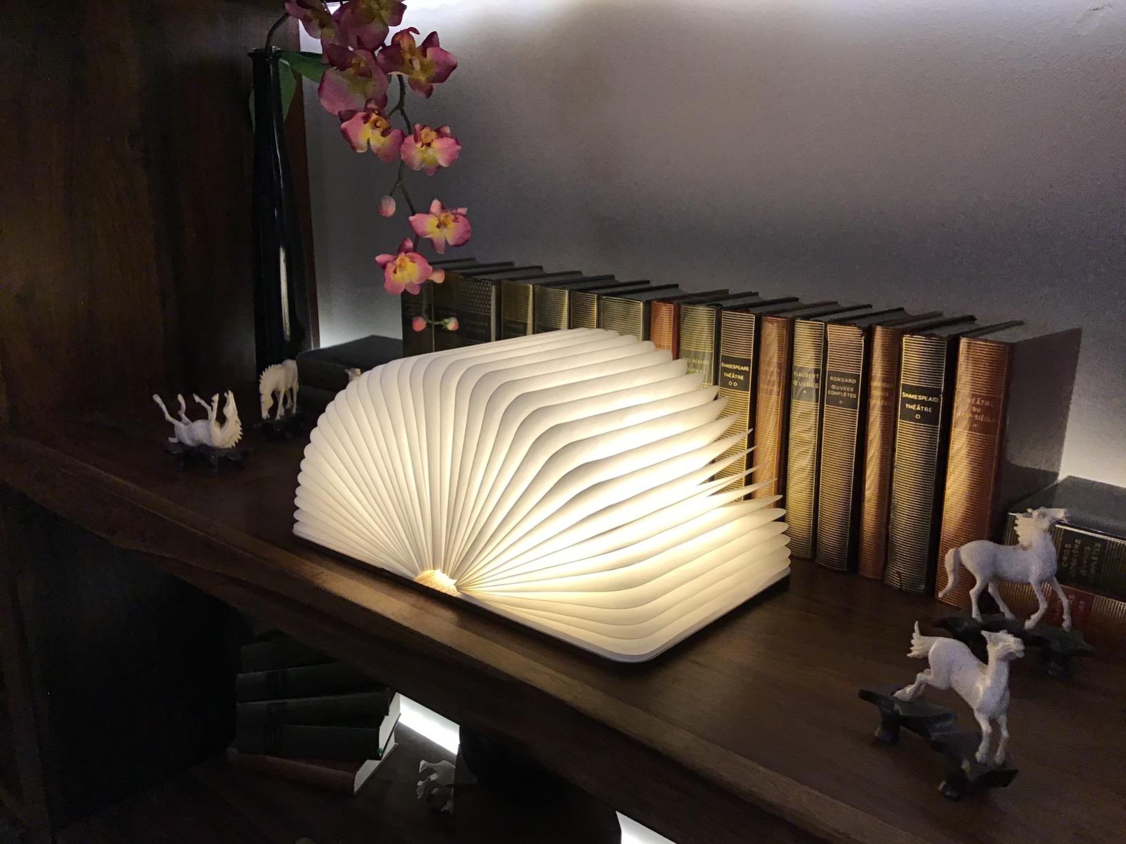 Livre lampe lumineux - /medias/166487724976.jpg